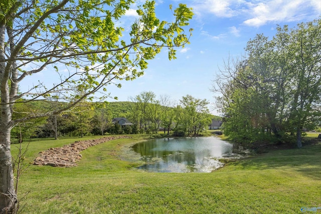 water view