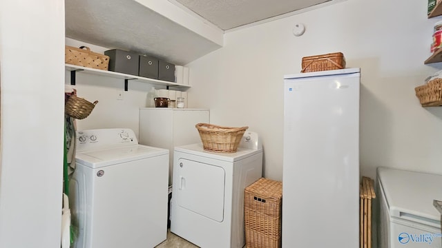 325 Crestview St, Athens, AL 35611 - laundry area featuring washer and dryer