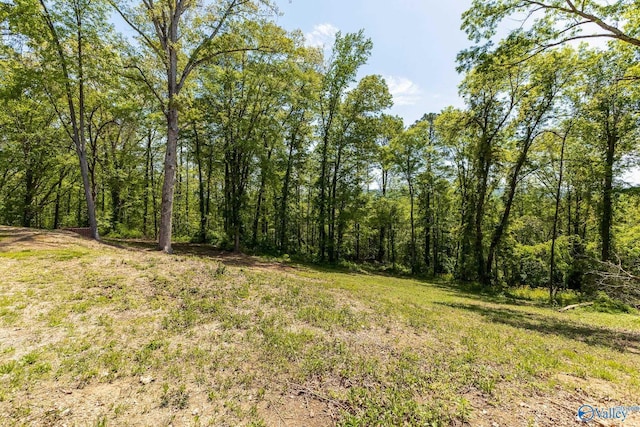 view of landscape featuring a view of trees