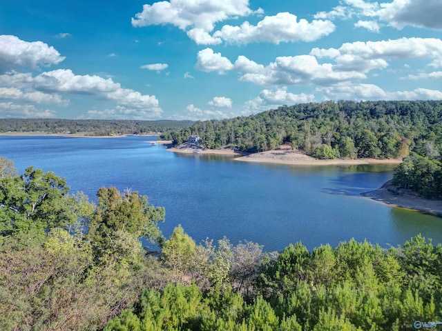 property view of water