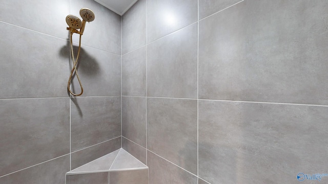 room details featuring tiled shower