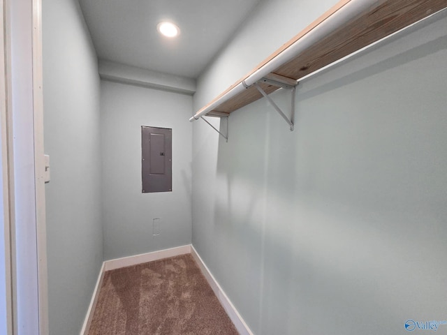 spacious closet with electric panel and carpet