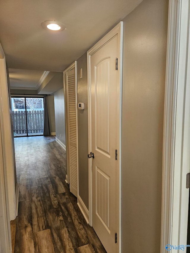 hallway with dark wood-type flooring