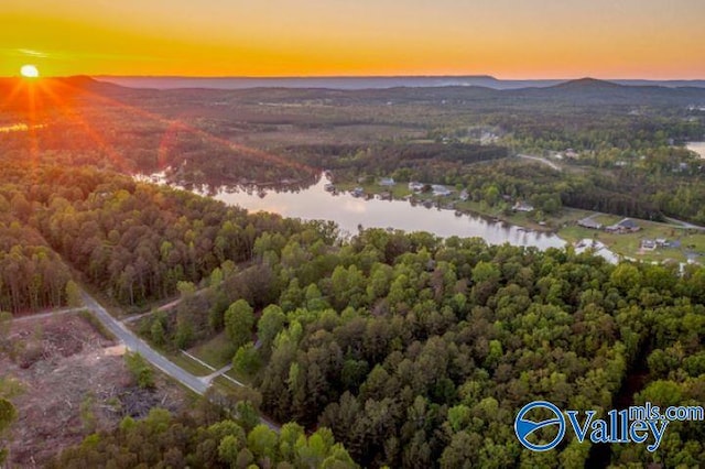 bird's eye view with a water and mountain view and a wooded view