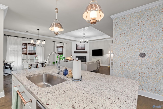 kitchen with a sink, a raised ceiling, dark wood-style floors, and ornamental molding