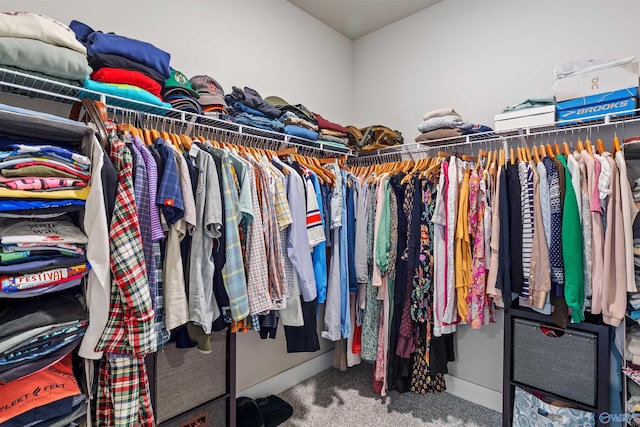 spacious closet with carpet