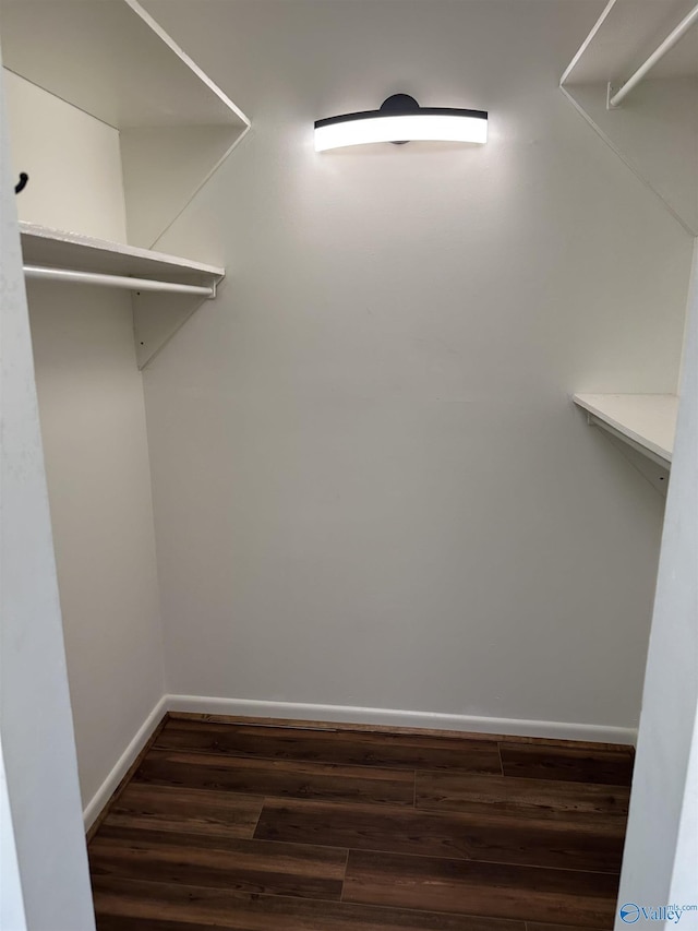 walk in closet featuring dark hardwood / wood-style flooring