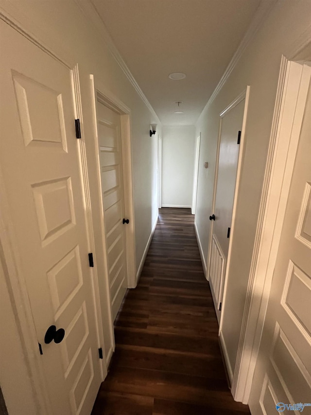 corridor featuring crown molding and dark wood-type flooring