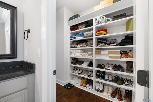 spacious closet with dark wood-style flooring