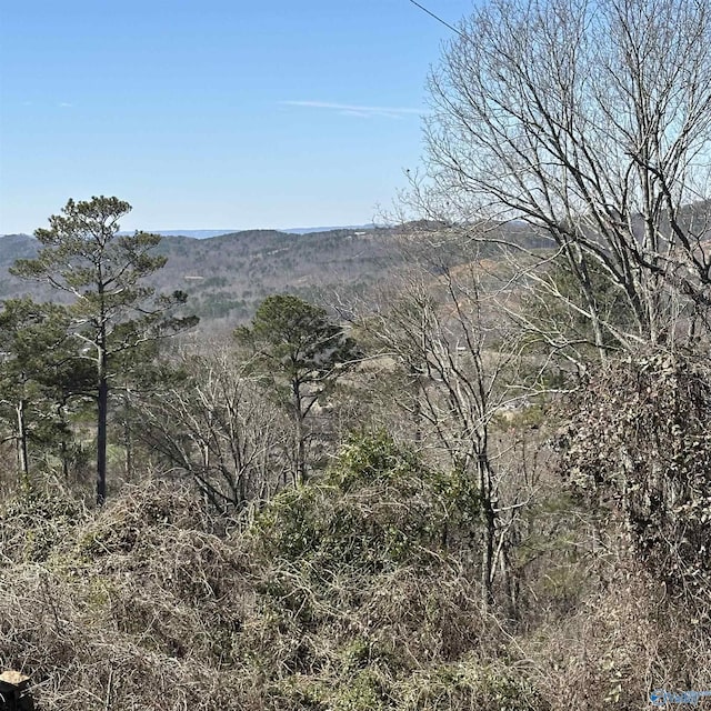 43ACRES Scenic Dr, Gadsden AL, 35904 land for sale