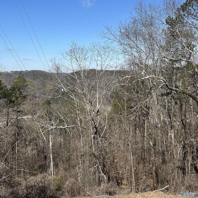 Listing photo 3 for 43ACRES Scenic Dr, Gadsden AL 35904