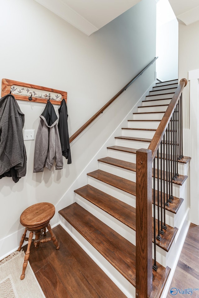 stairs featuring hardwood / wood-style flooring