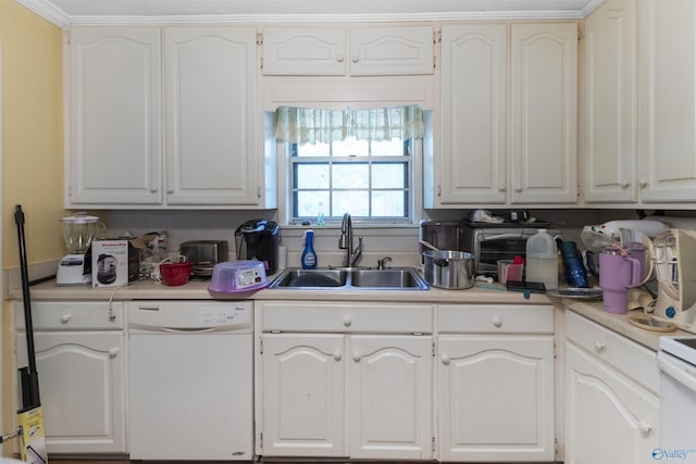 kitchen featuring light countertops, white cabinets, a sink, and dishwasher