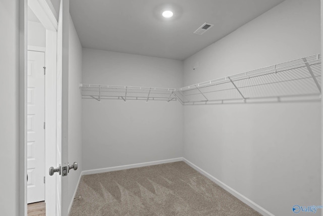 spacious closet with light carpet