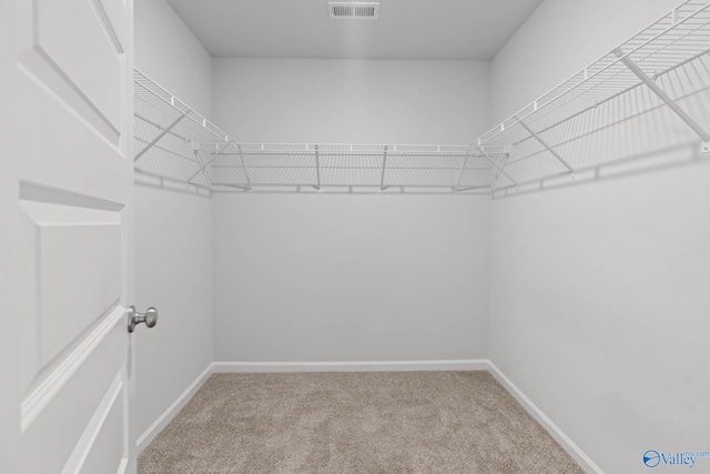 walk in closet featuring carpet flooring