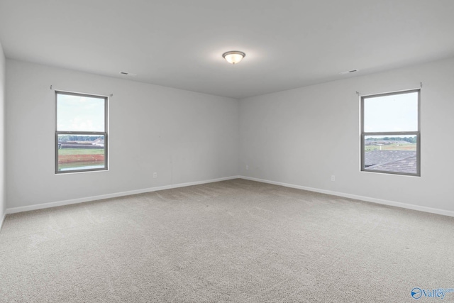 spare room with carpet floors and a wealth of natural light