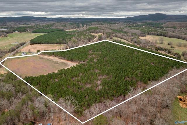 40ACRE County Road 29, Piedmont AL, 36272 land for sale