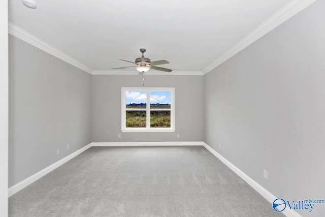 unfurnished room featuring ornamental molding, ceiling fan, and carpet flooring