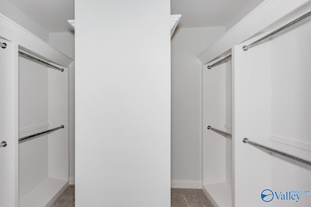 spacious closet featuring light colored carpet