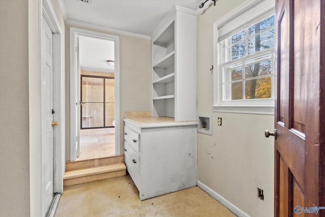 clothes washing area featuring crown molding, hookup for a washing machine, and light carpet
