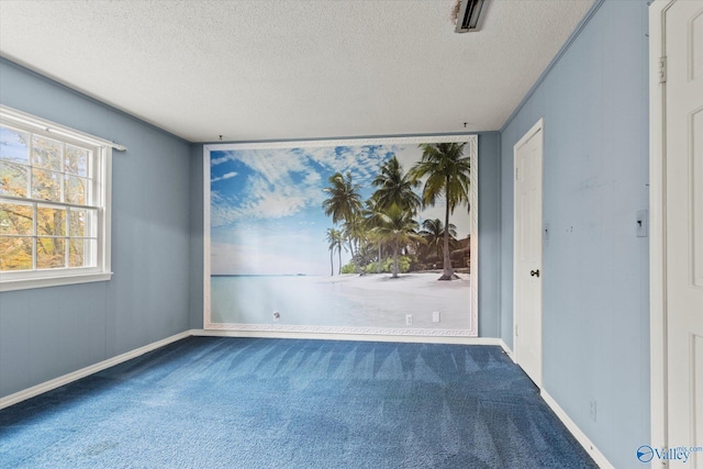 spare room featuring carpet floors and a textured ceiling