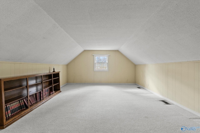 additional living space featuring carpet, a textured ceiling, and lofted ceiling