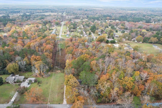 bird's eye view