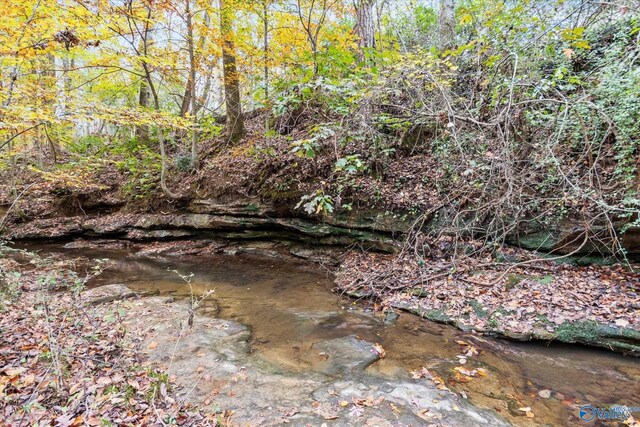 view of local wilderness
