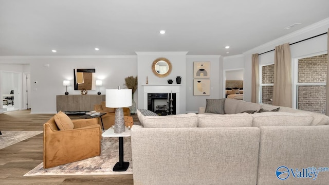 living room with crown molding and wood-type flooring