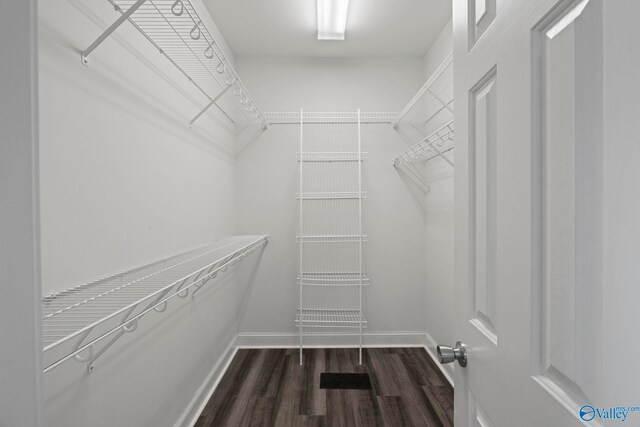 10214 New Cut Rd, Athens, AL 35611 - spacious closet with dark wood-type flooring