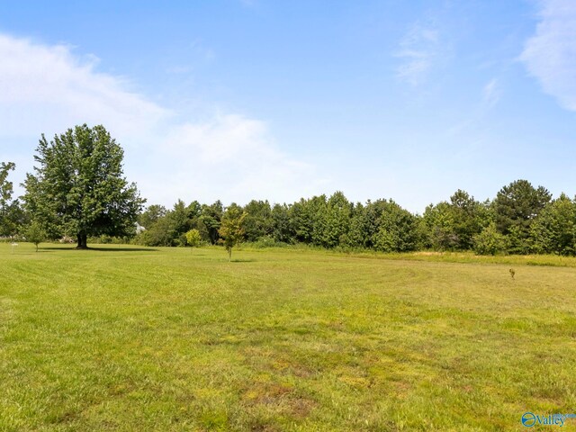 10214 New Cut Rd, Athens, AL 35611 - view of green lawn