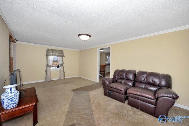 carpeted living room with crown molding and a textured ceiling