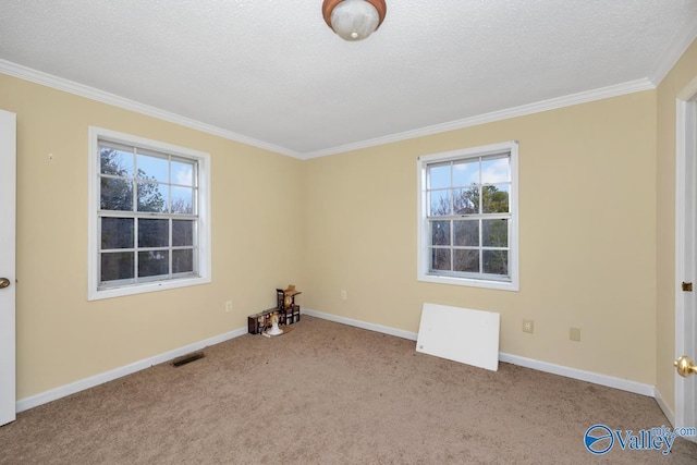 unfurnished room with crown molding, a textured ceiling, light carpet, and a wealth of natural light