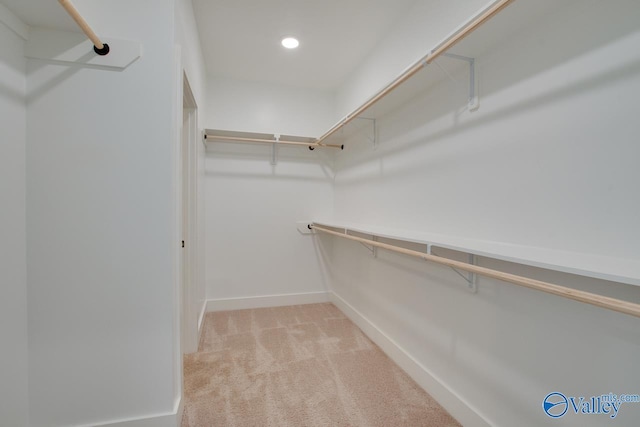 spacious closet featuring light carpet