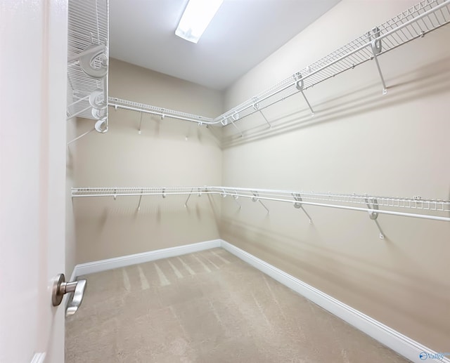 spacious closet featuring carpet flooring