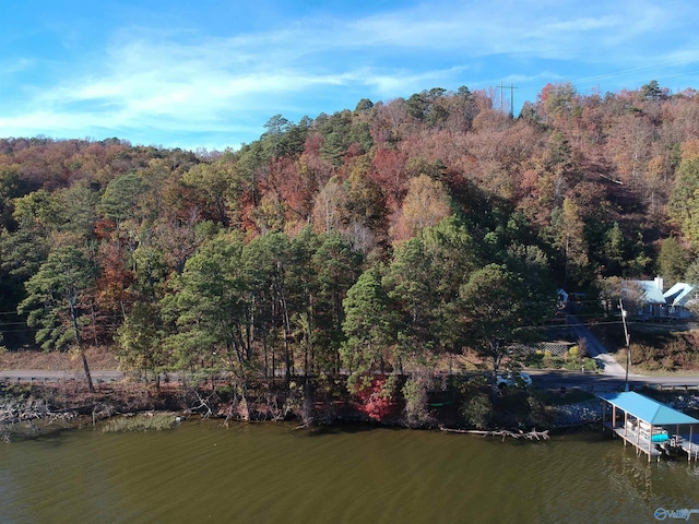 4 Lister Ferry Rd, Rainbow City, AL 35906