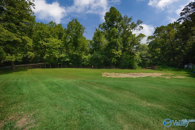 215 Dusty Dr SW, Arab, AL 35016 - view of yard