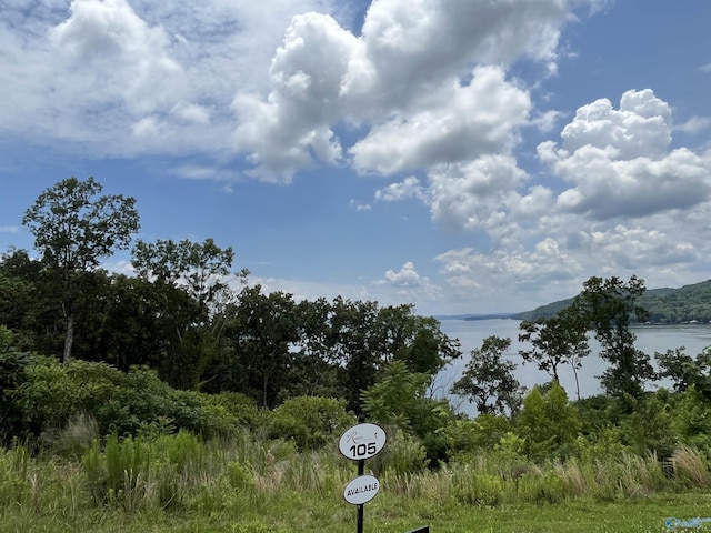 105 Ryan Dr, Guntersville AL, 35976 land for sale