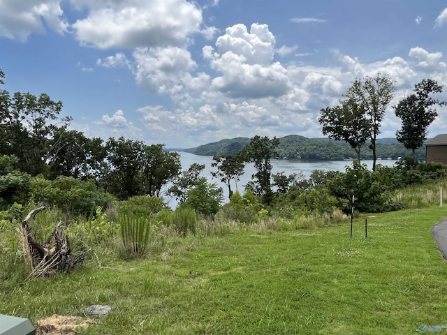 Listing photo 2 for 105 Ryan Dr, Guntersville AL 35976