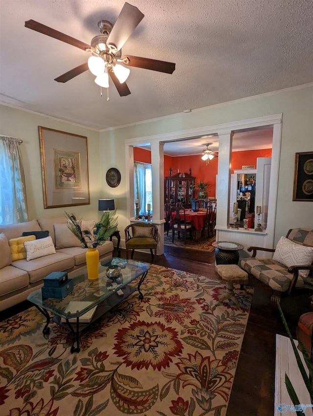 living room with dark hardwood / wood-style flooring, ceiling fan, ornamental molding, and a textured ceiling