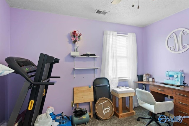 office with a wealth of natural light, carpet floors, and a textured ceiling