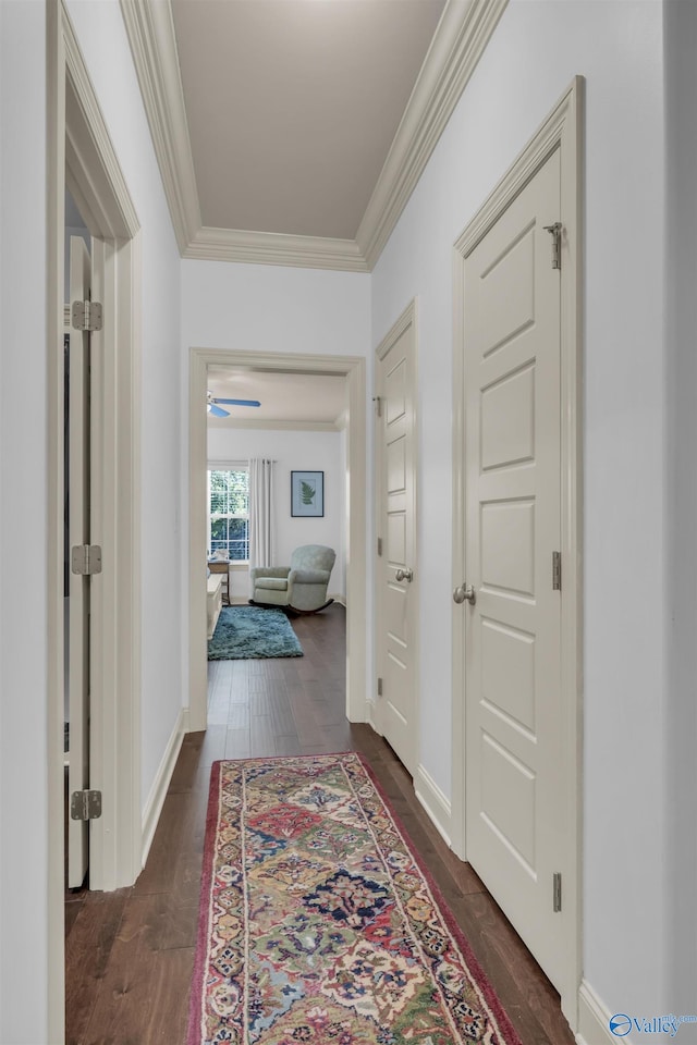 corridor featuring ornamental molding and dark hardwood / wood-style floors