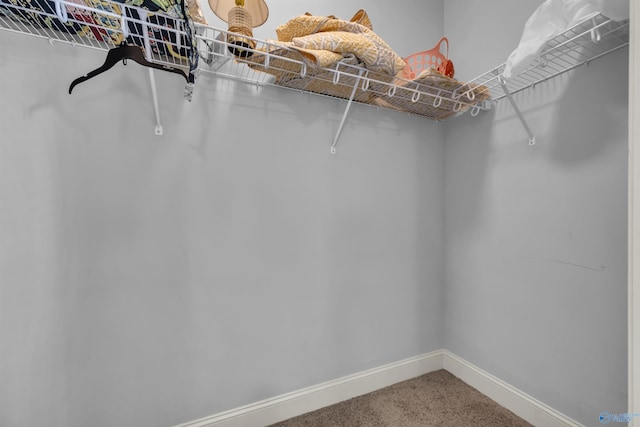 spacious closet with carpet floors