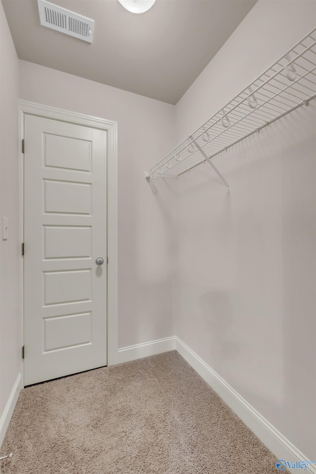 walk in closet featuring carpet