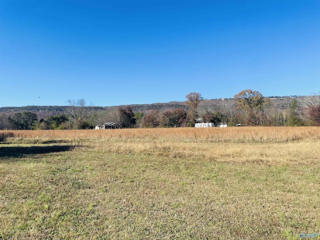 view of yard with a rural view