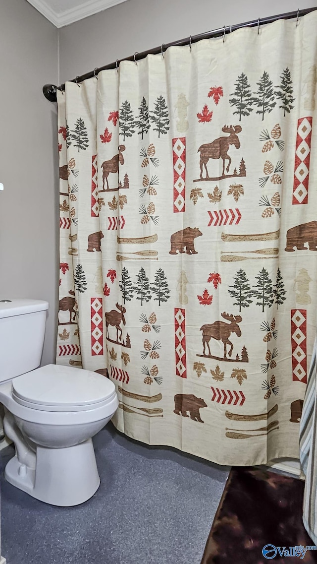 bathroom featuring ornamental molding and toilet