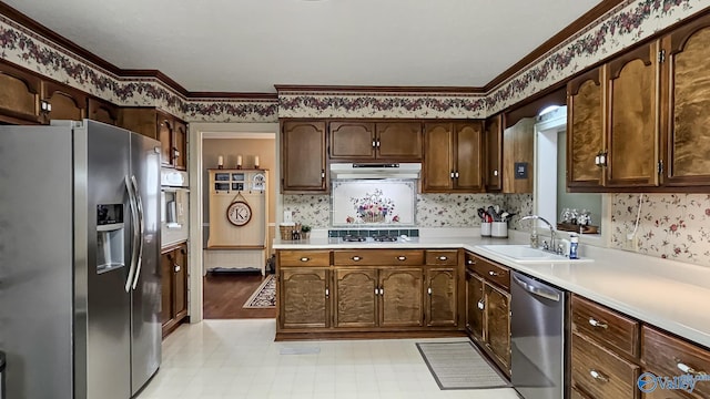 kitchen featuring dark brown cabinetry, sink, crown molding, and stainless steel appliances