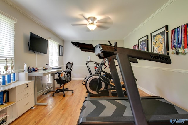 workout area featuring crown molding, light wood finished floors, ceiling fan, and baseboards