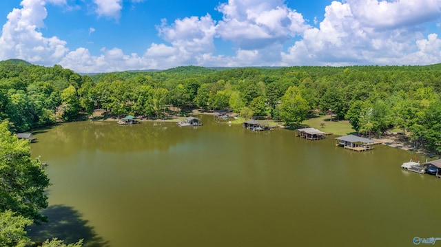 drone / aerial view with a forest view and a water view