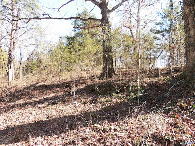 Listing photo 3 for 22.4ACRES County Road 9, Moulton AL 35650